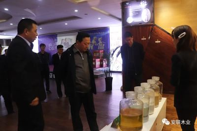聚焦綠色智造 共謀高質量發展新篇章——徐州市委副書記深入安聯木業調研指導工作